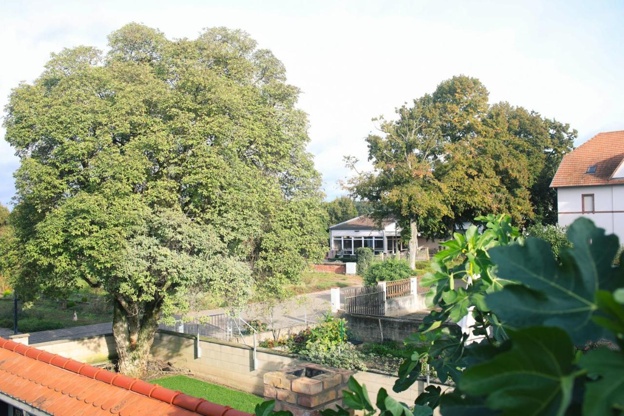 Hotel Duwakschopp Herxheim bei Landau Eksteriør billede